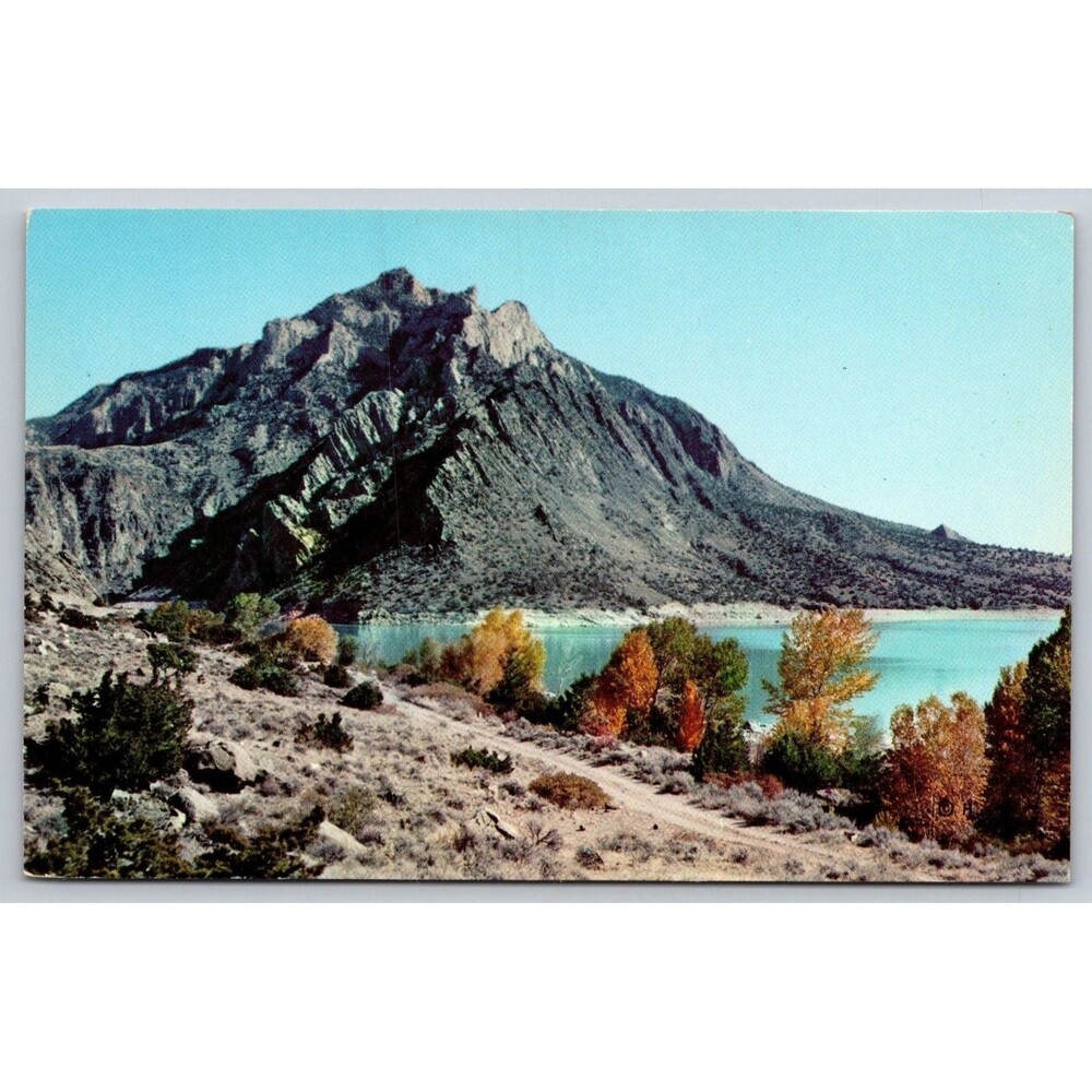 Vtg Postcard Cedar Mountain Buffalo Bill Reservoir Wyoming Haynes Studios 53K423